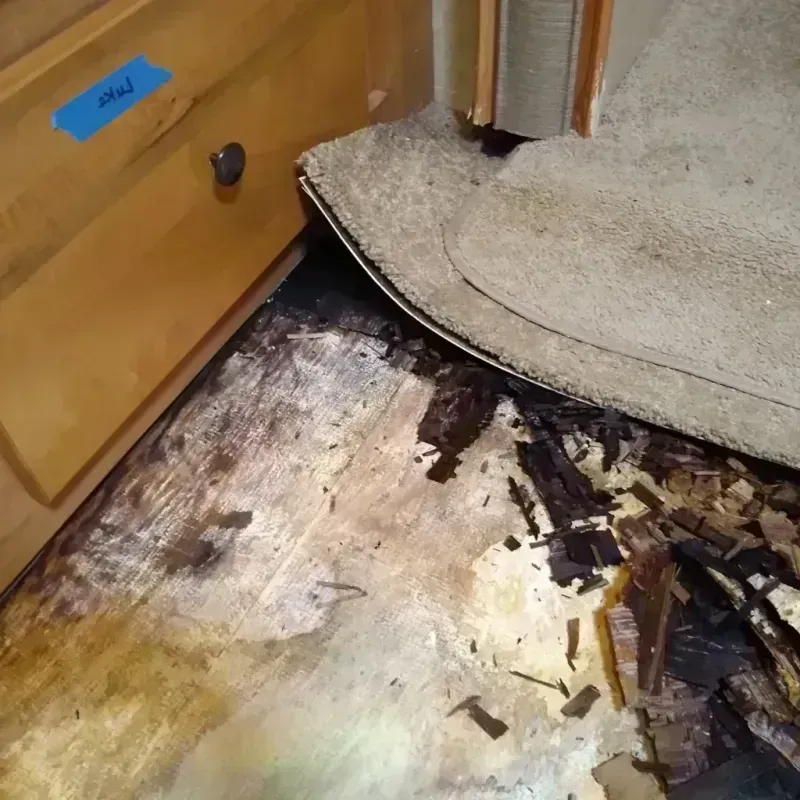 Best Wood Floor Water Damage Service in Fannin County, GA